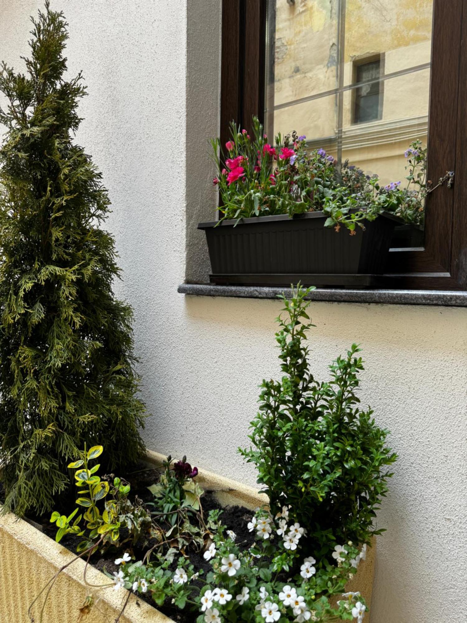 Balcescu Central Residence Sibiu Rom bilde